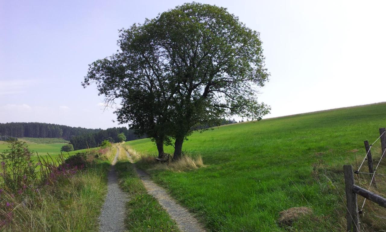 Landgasthof Steuber Hotel Bromskirchen Buitenkant foto