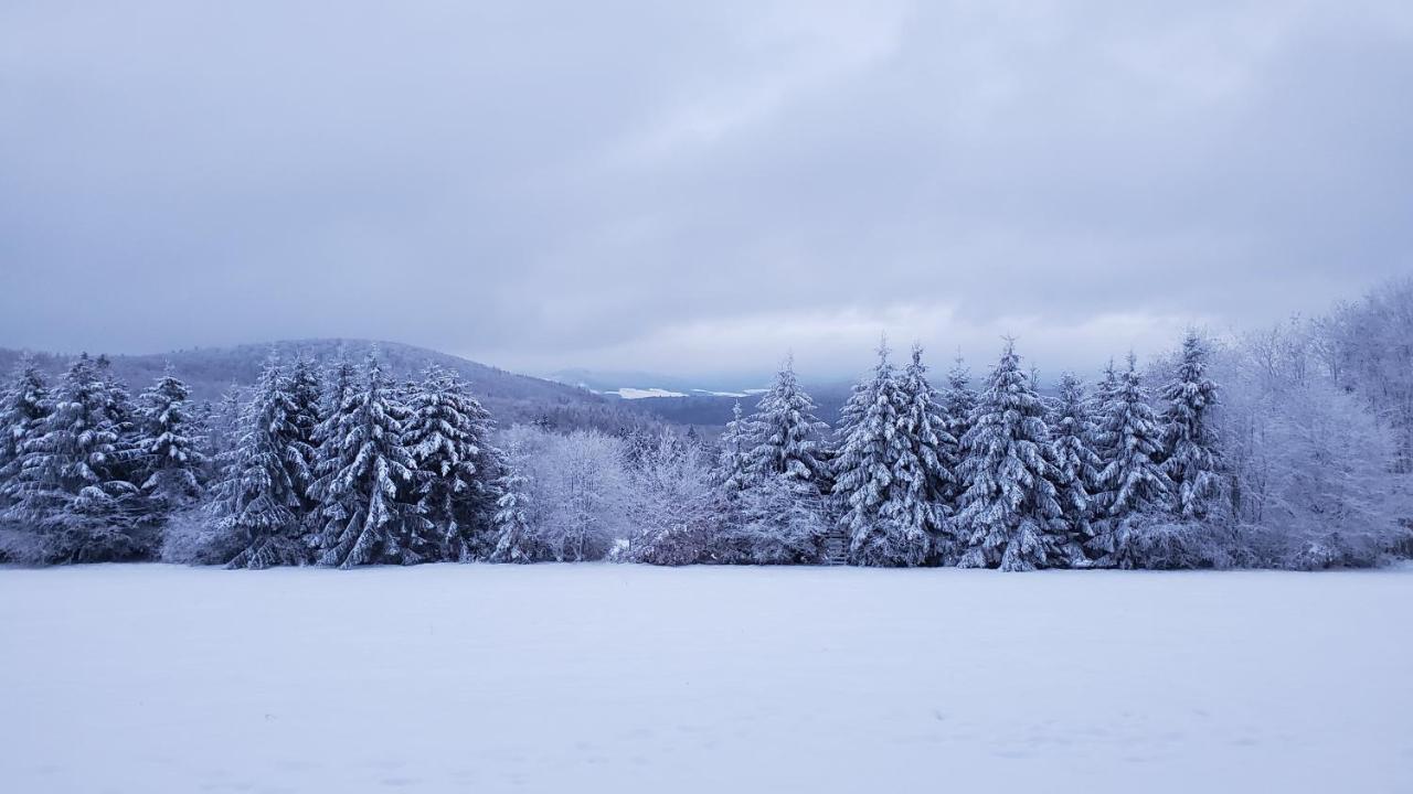 Landgasthof Steuber Hotel Bromskirchen Buitenkant foto