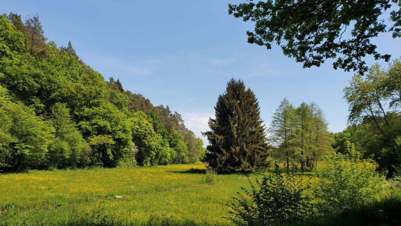 Landgasthof Steuber Hotel Bromskirchen Buitenkant foto